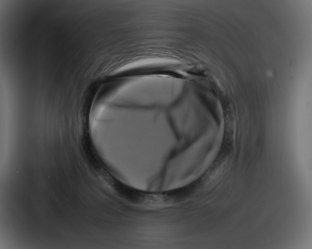 X0000087050227200705160958