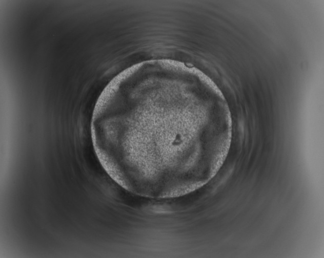 X0000087050228200705160958