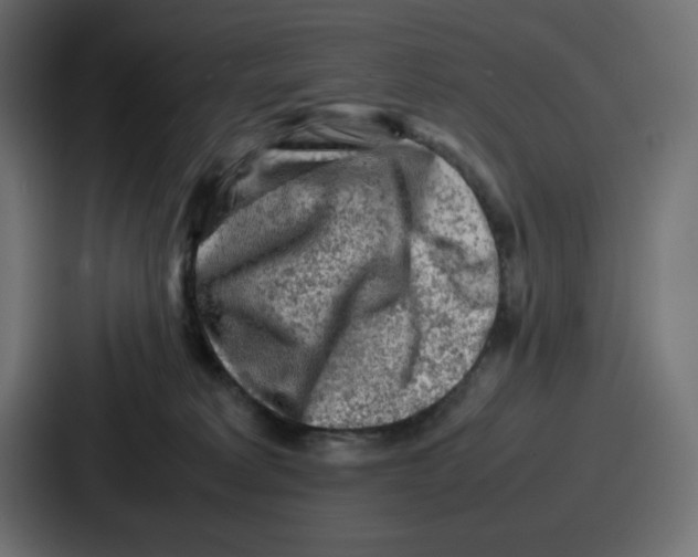 X0000087050229200705160958