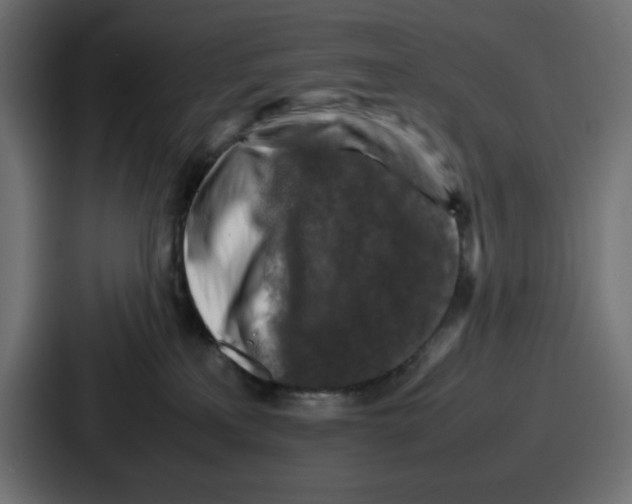 X0000087050233200705160958