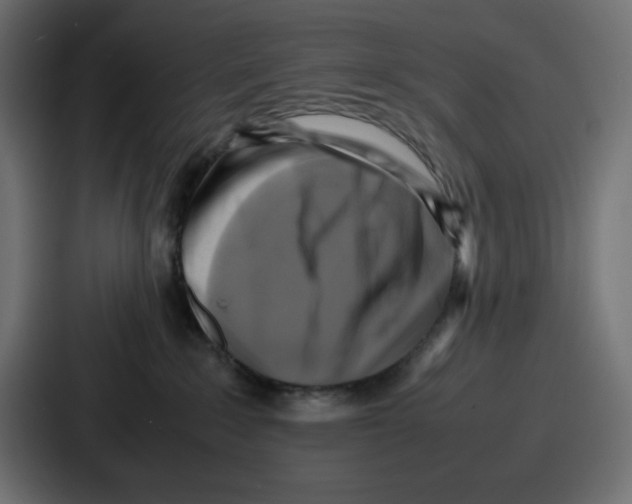 X0000087050235200705160958