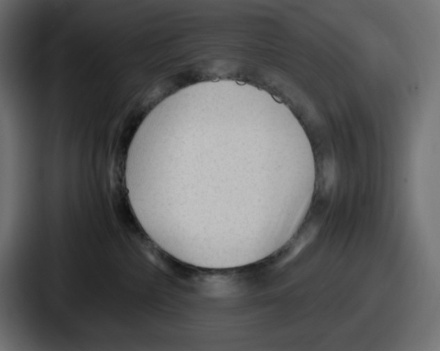 X0000087050236200705160958