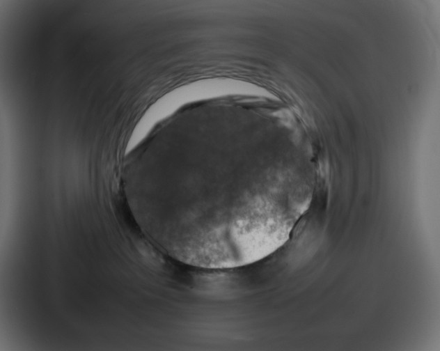 X0000087050237200705160958