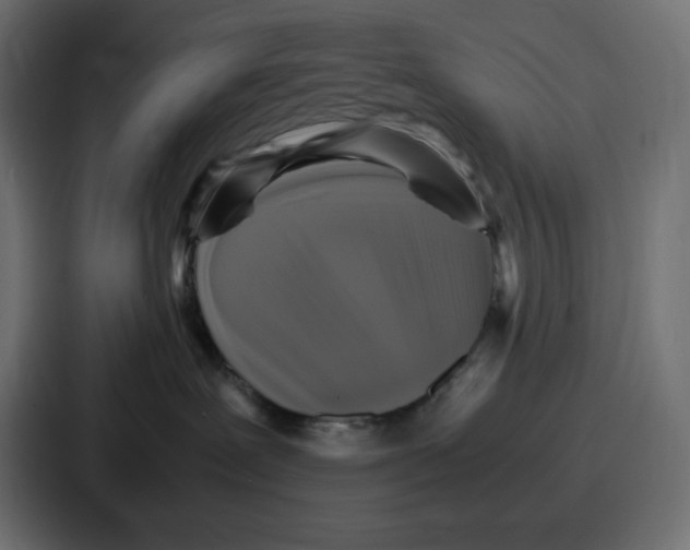 X0000087050239200705160958