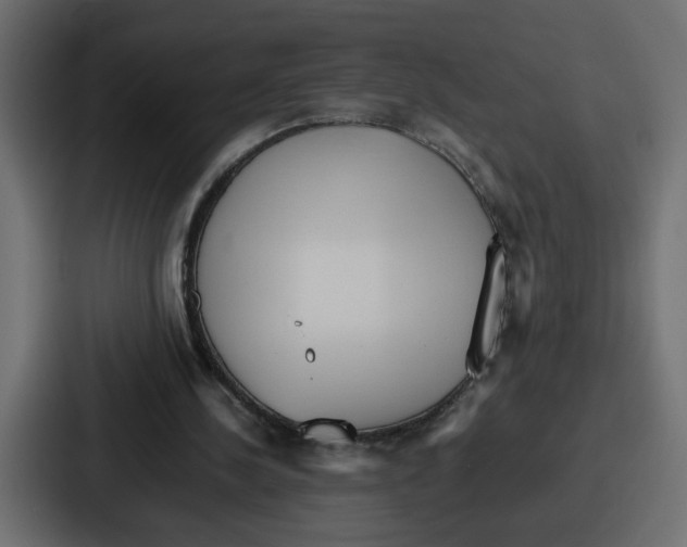 X0000087050244200705160957