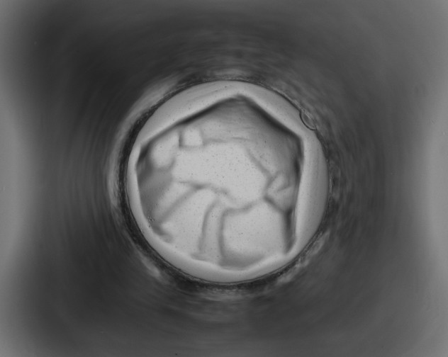 X0000087050245200705160957