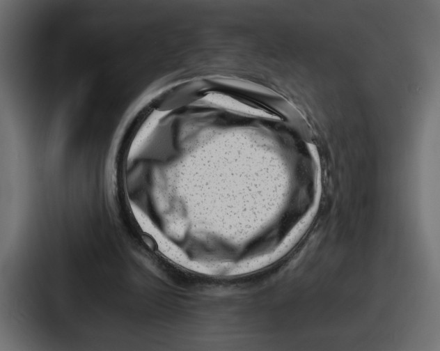 X0000087050246200705160957