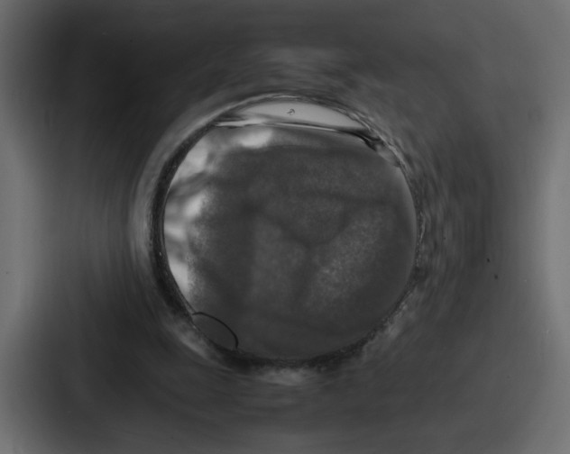 X0000087050247200705160957