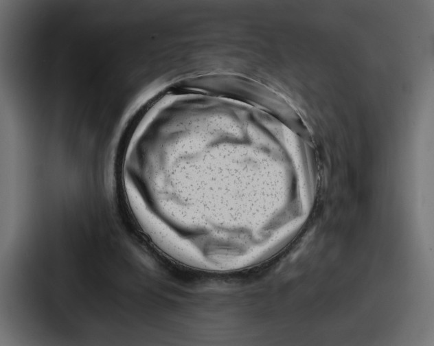 X0000087050248200705160957