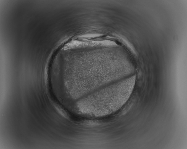 X0000087050250200705160957