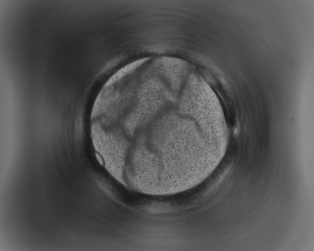 X0000087050256200705160957