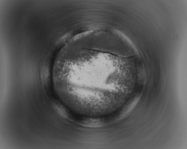 X0000087050260200705160957