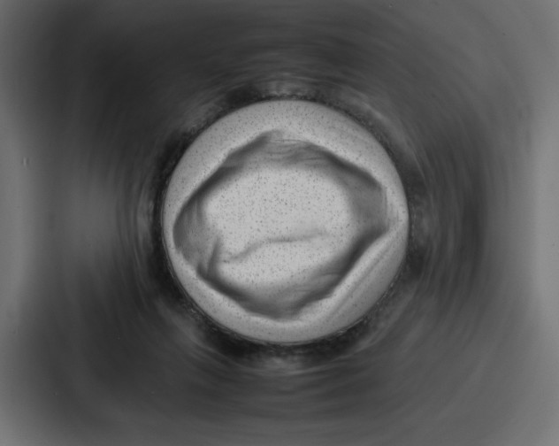 X0000087050263200705160957