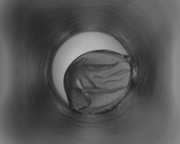 X0000087050264200705160957