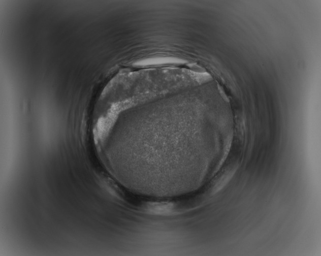 X0000087050266200705160957