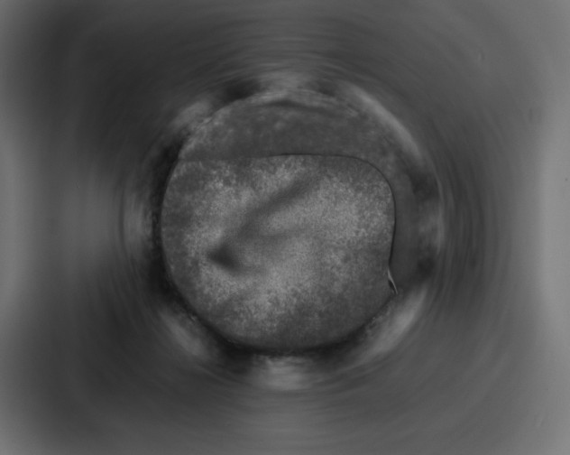 X0000087050268200705160957