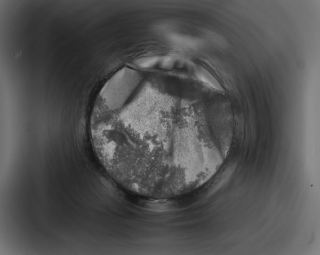 X0000087050269200705160957