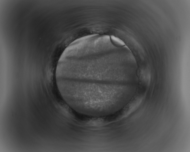 X0000087050271200705160957