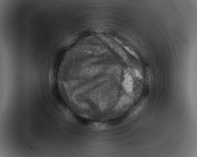 X0000087050272200705160957