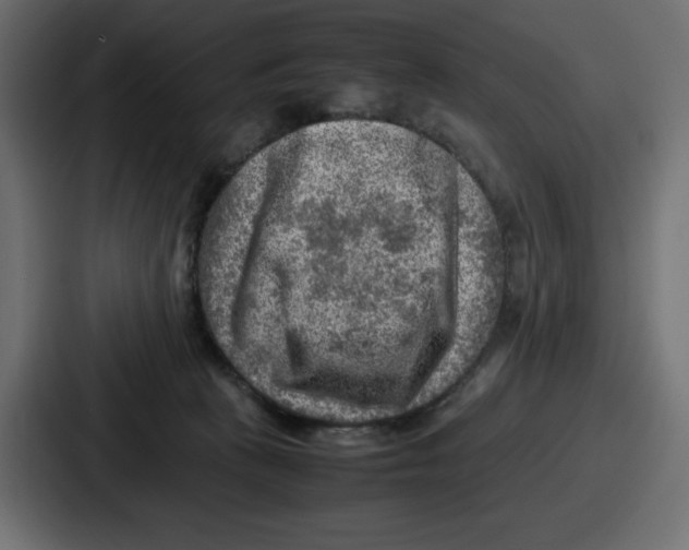 X0000087050273200705160957