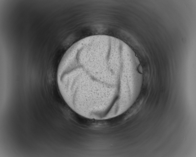 X0000087050274200705160957