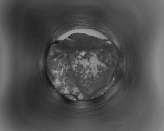 X0000087050277200705160957