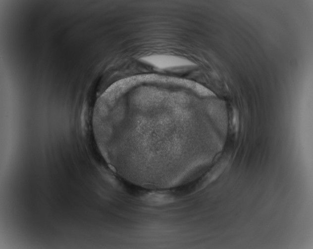 X0000087050280200705160957