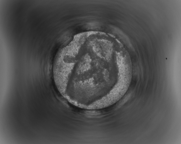 X0000087050281200705160957