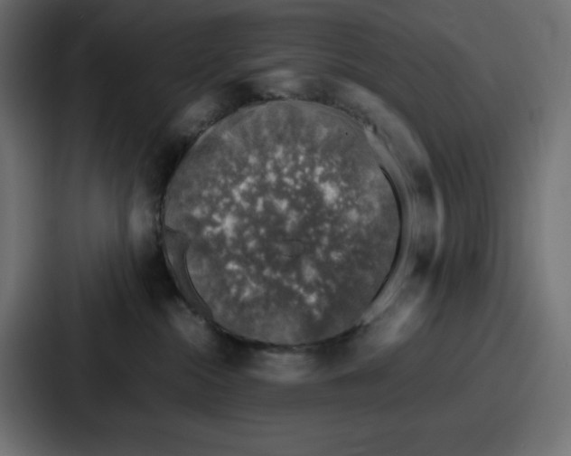 X0000087050284200705160958