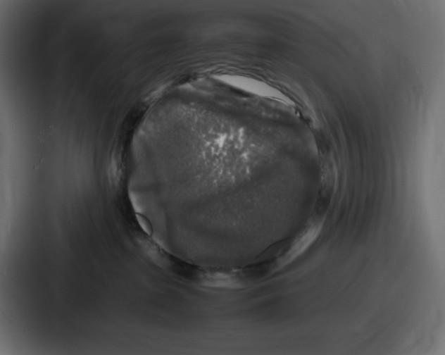 X0000087050285200705160958