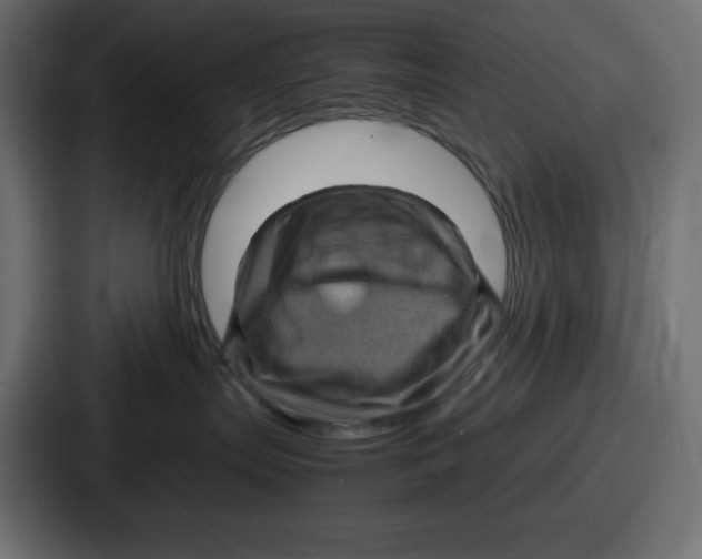 X0000087050287200705160958