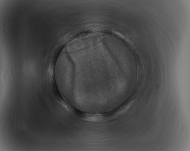 X0000087050288200705160958