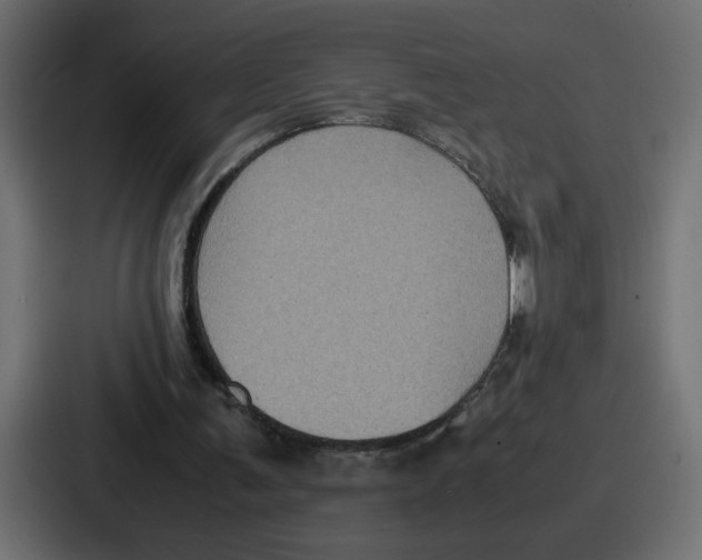 X0000087050291200705160957