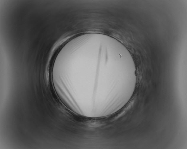 X0000087050294200705160957