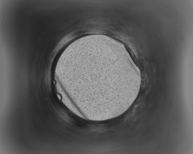 X0000087050296200705160957