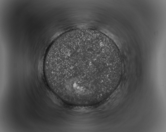 X0000087050297200705160957