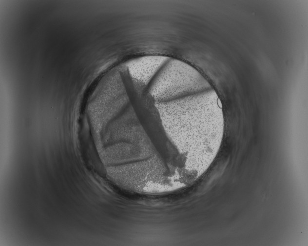 X0000087050299200705160957