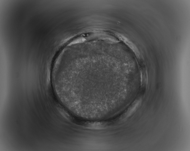 X0000087050301200705160957