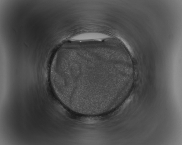 X0000087050305200705160957