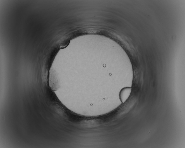 X0000087050307200705160957