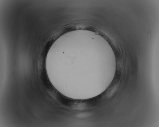 X0000087050311200705160957