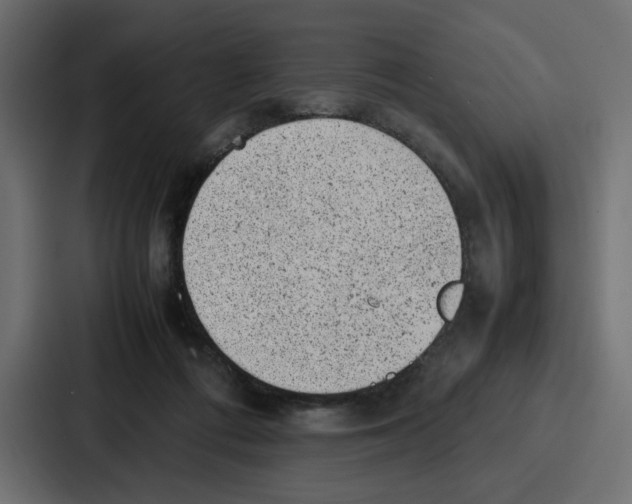 X0000087050312200705160957