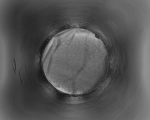 X0000087050314200705160957