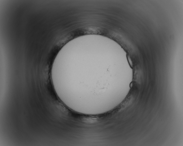 X0000087050318200705160957