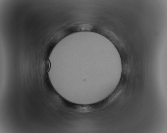 X0000087050321200705160957