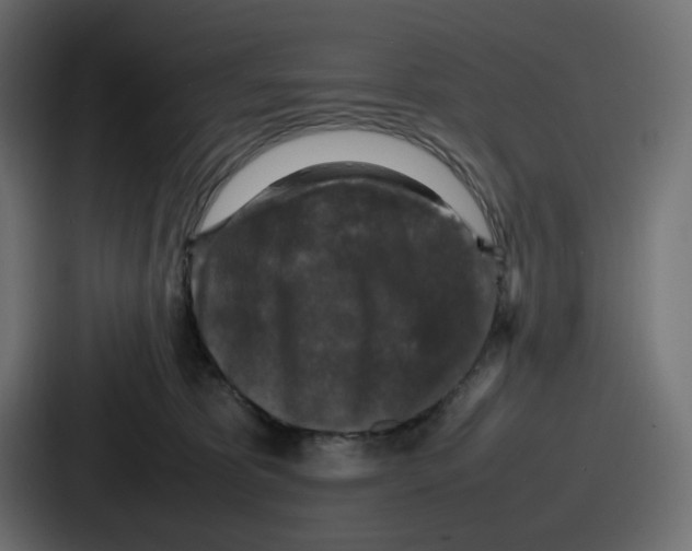 X0000087050325200705160956