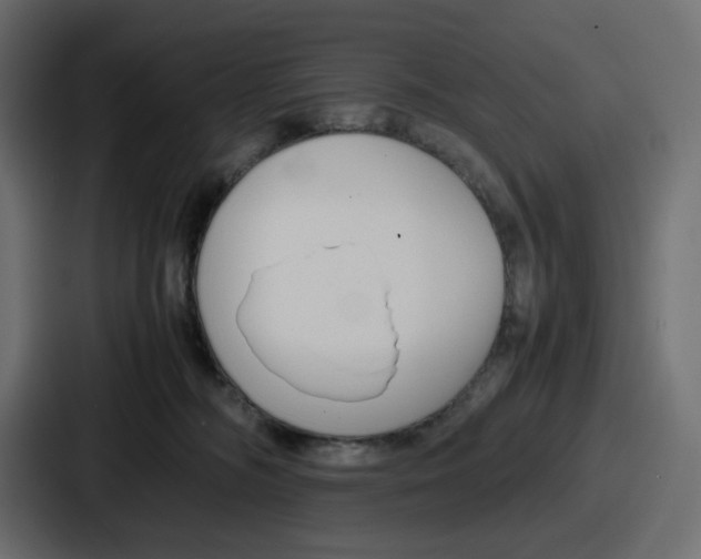 X0000087050326200705160956