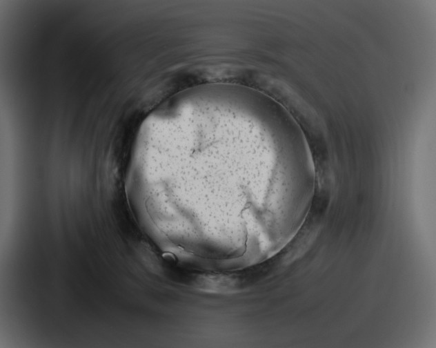 X0000087050327200705160956