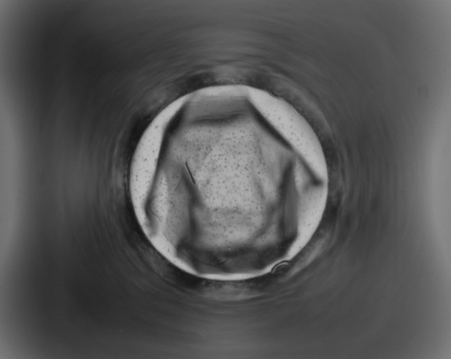 X0000087050329200705160956