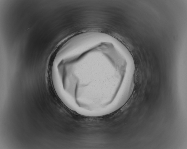 X0000087050338200705160956